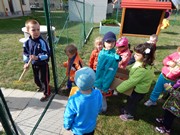 Sklízíme úrodu na zahrádce